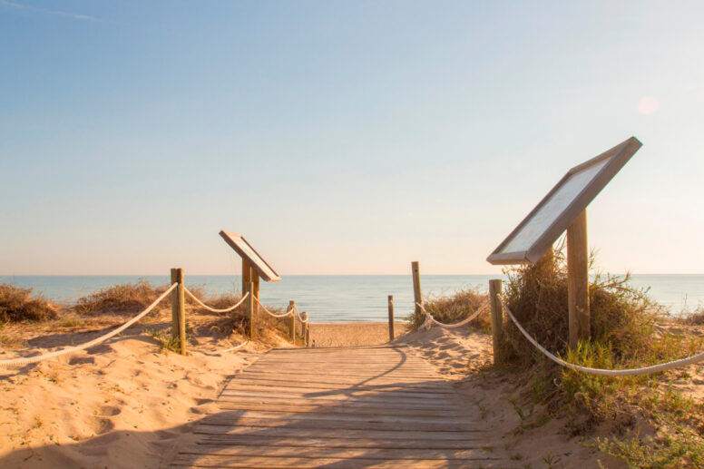 The dunes by the camping